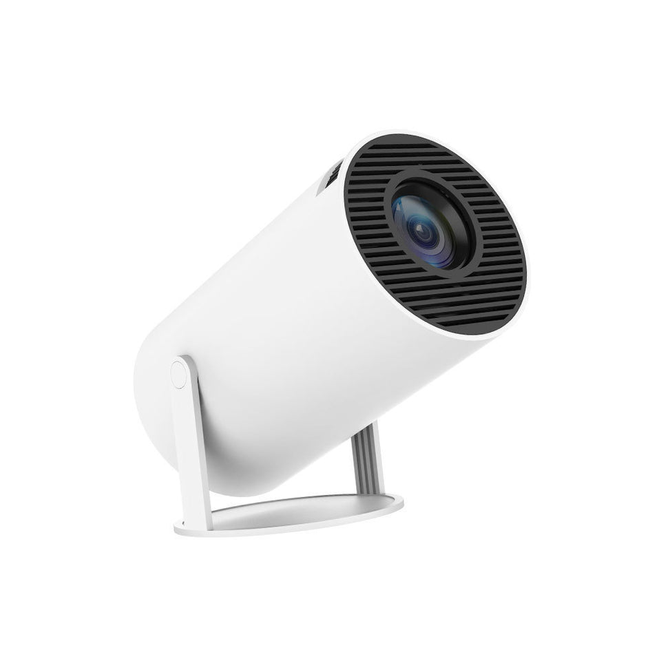 Portable home projector