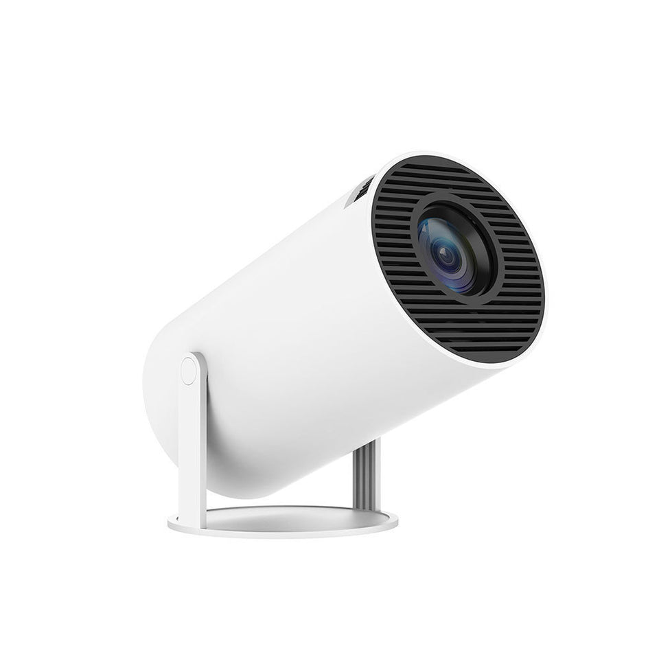 Portable home projector